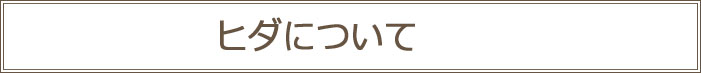 カーテンのヒダについて